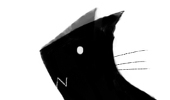 N_catpaper
