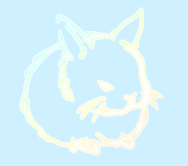 白兎