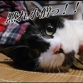 フッ酸