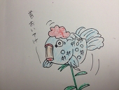 ひこ みなつ