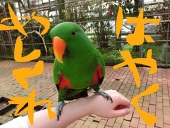 よーぐると