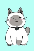 kuu