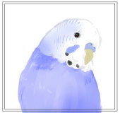 鳥介
