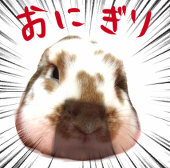 おにぎり