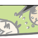 はやせこつこつ