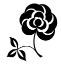 kayu