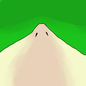 弩鳩