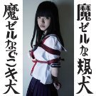 魔ゼルな規犬