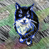 moityr