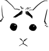 元宵宵