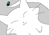 紫苑