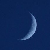 けいてい※マイピク受理に関して
