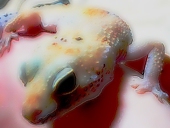 路傍のSpooky