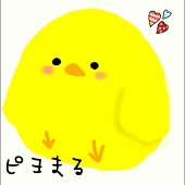 ピヨまる