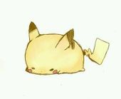 2229的猫