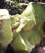 goma
