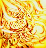 さ き