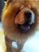 Katie_Baaa