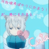 狐蝶