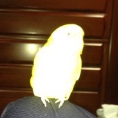 たわん
