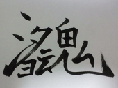 ポチ猫