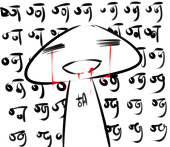 胡纸