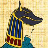 泉 星羅