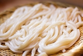 名無しのうどん