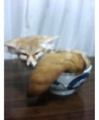 四分儀 龍一