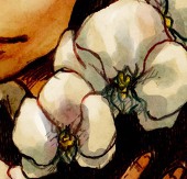 いのうえ
