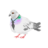 えすきち
