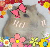 蓦然小希