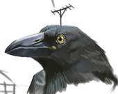 黑鳥