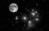 蒼星