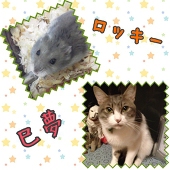 鈴森