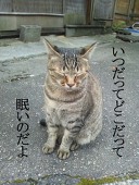 チダ