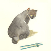 taoi