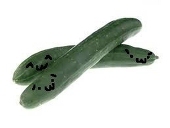 こんたろうん