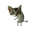 Waran