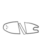 根