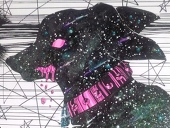 宇宙犬hiro