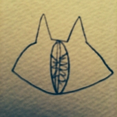 Nekomey