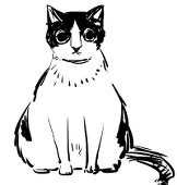 いりえ
