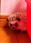 むう
