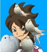 鳥皮