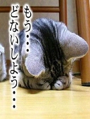 如月タスク