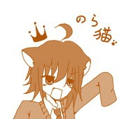 野良猫