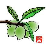 霹靂火 雷公
