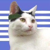 ナンピョウ