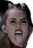 WD